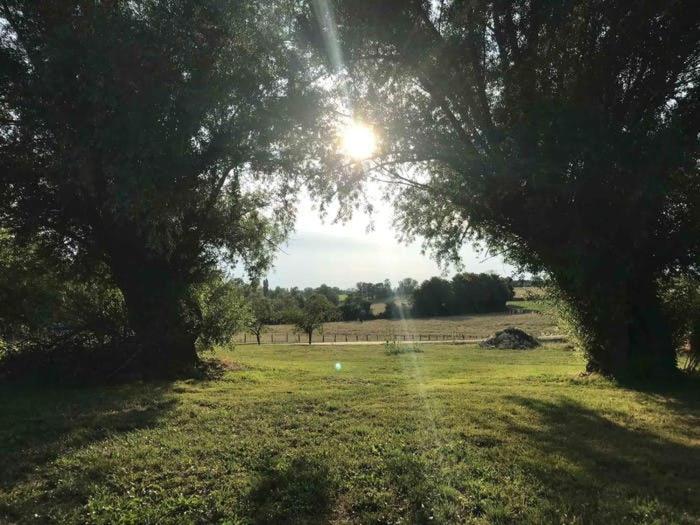 La Grange A Outeaux Bed & Breakfast Montpont-en-Bresse Exterior photo